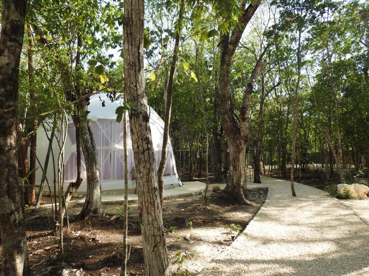 Glamping Mayan Glam Tulum Dış mekan fotoğraf
