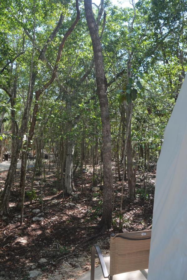Glamping Mayan Glam Tulum Dış mekan fotoğraf