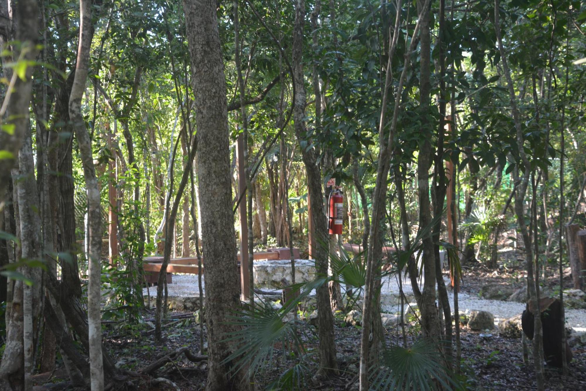 Glamping Mayan Glam Tulum Dış mekan fotoğraf